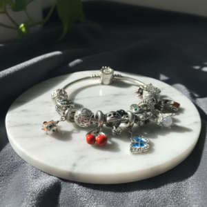 Pulsera Estilo Pandora de Acero con Charms